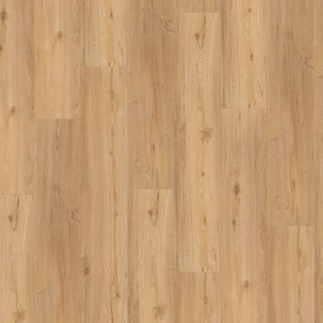 Parador SPC Basic 5.3 Dub prírodný 1743004 5,3 mm 23/31 4V Kartáčovaná štruktúra 1-lamela
