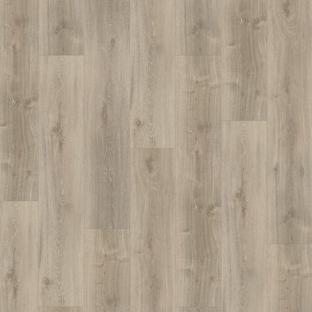 Parador SPC Basic 5.3 Dub šedý bielený 1743001 5,3 mm 23/31 4V Kartáčovaná štruktúra 1-lamela