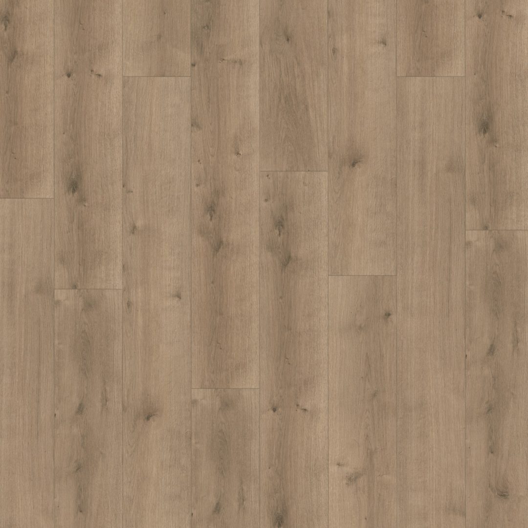 Parador Modular ONE Dub Pure perlovo šedý 1730768 8 mm trieda 33 M4V Štruktúra dreva 1-lamela