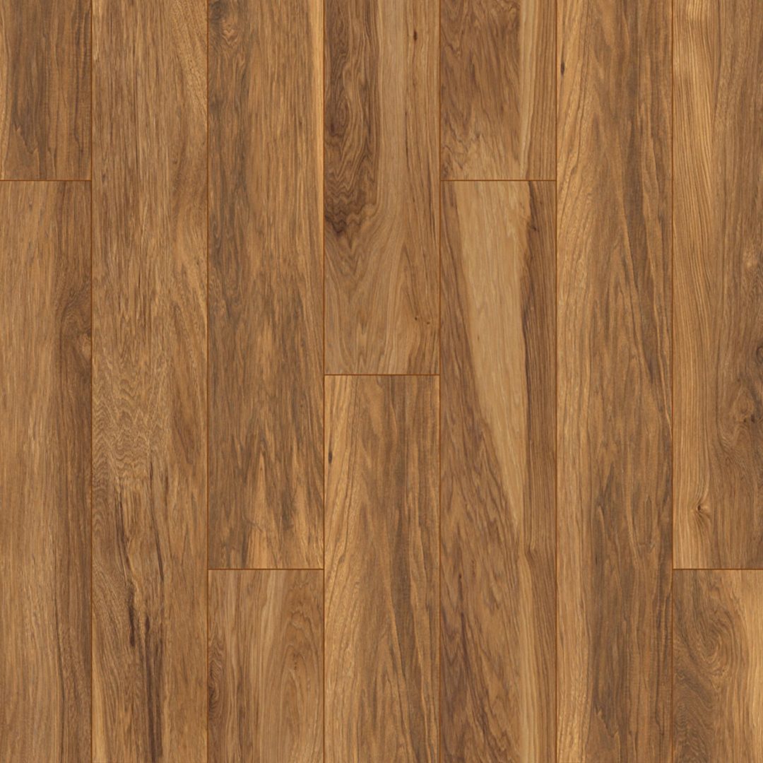 Atlantic 10 Hickory Appalachian 8155 VH 10 mm AC5/33 4V 1clic2go pure+