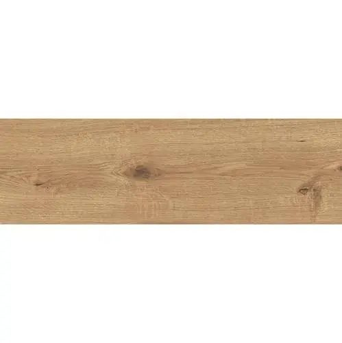 Dlažba SANDWOOD Brown 18,5x59,8